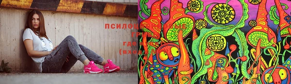 СК Алексеевка