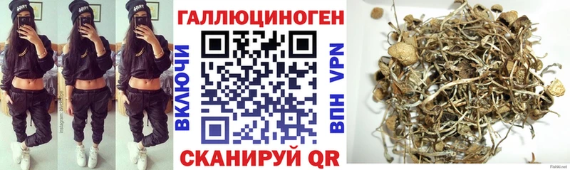 гидра вход  Лодейное Поле  сайты даркнета формула  Псилоцибиновые грибы прущие грибы 